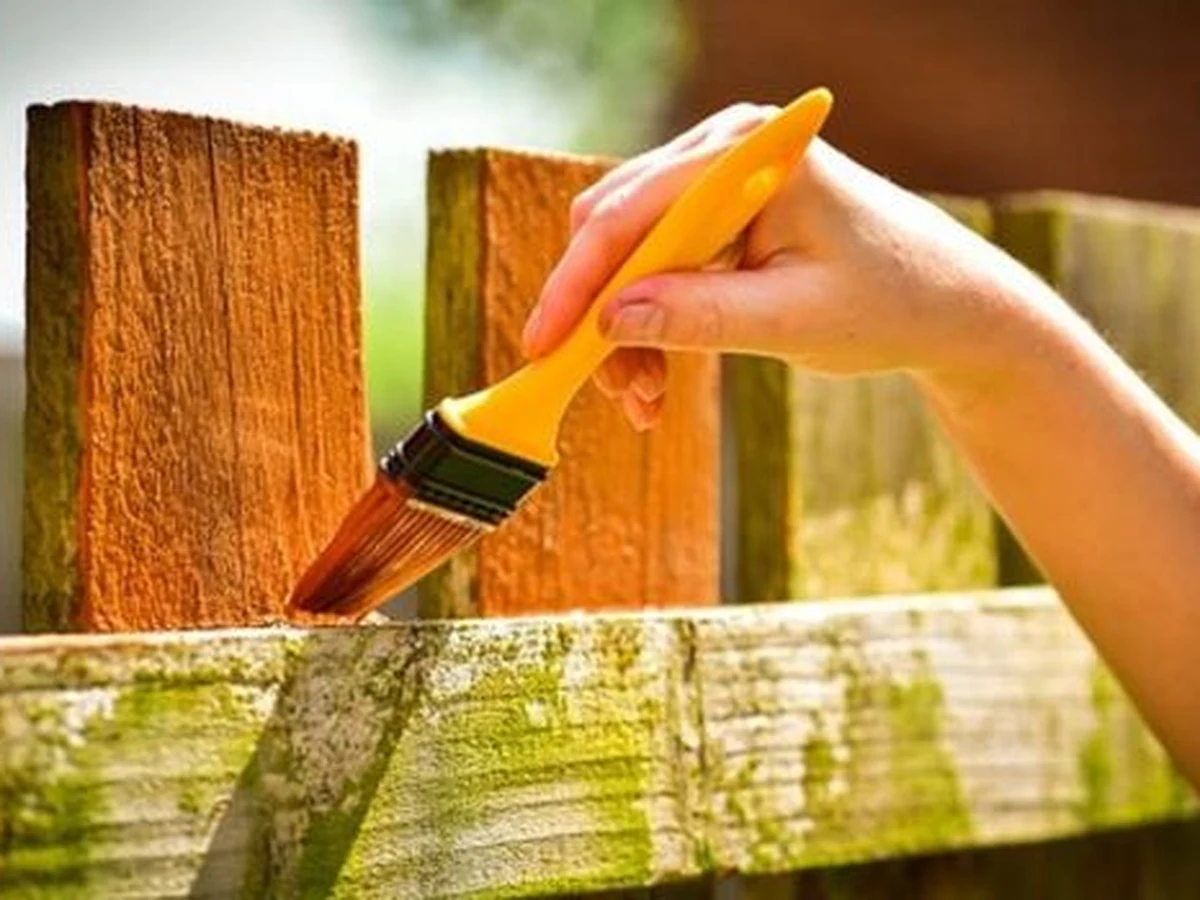 Fence painting in Hampstead by Hampstead Decorators, hand applying stain to wooden garden fence